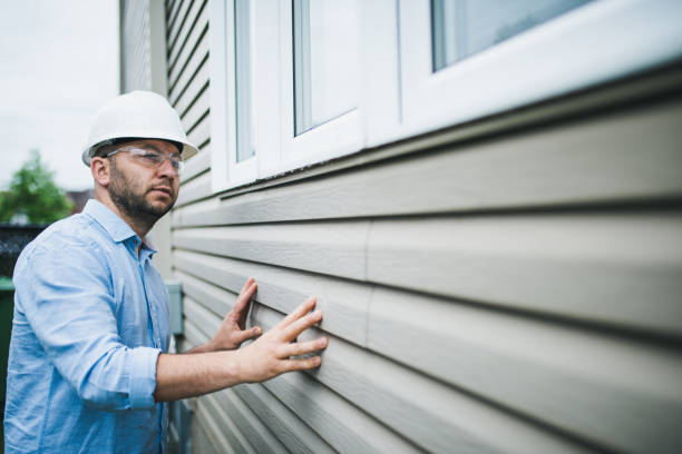 Best Brick Veneer Siding  in Madison, MN